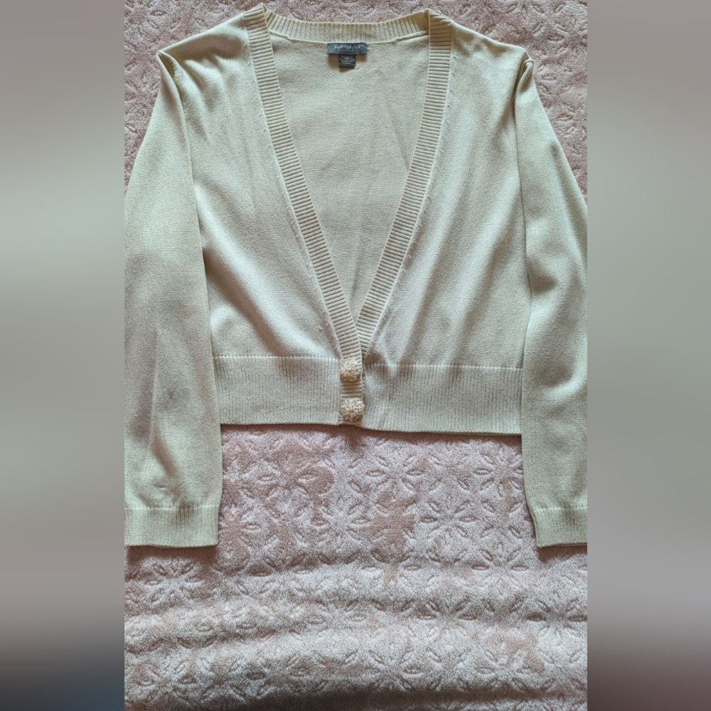 Ann Taylor Sweater